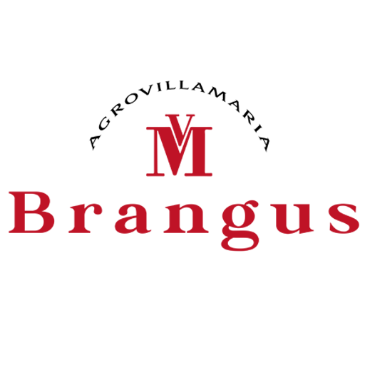 Carnes Brangus | Calidad que une momentos